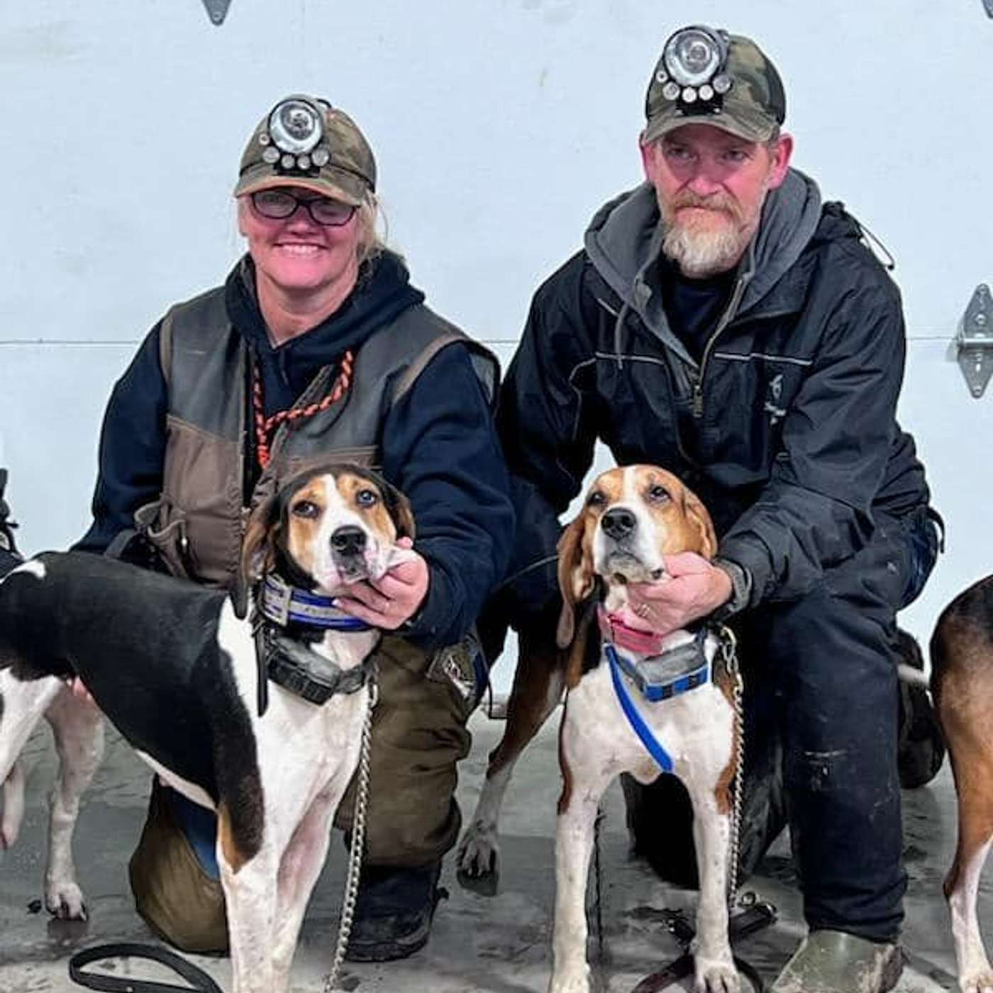 Tree Dog Tuesday: Love at First Sight