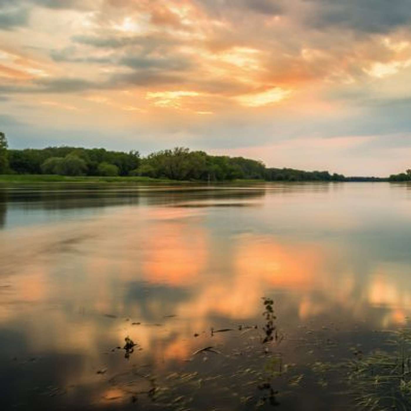 A Guided Meditation for Mothers i.e. Those Who Care for Children