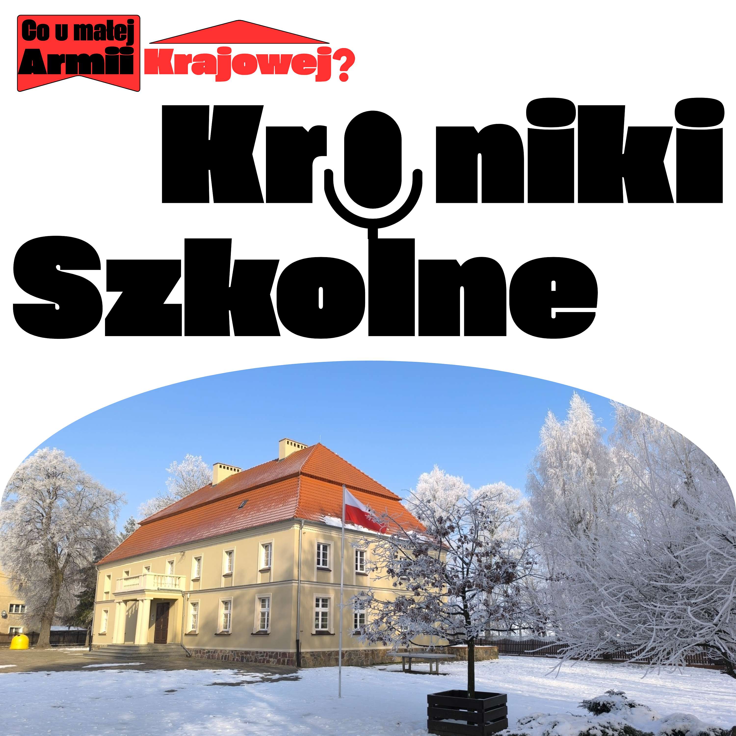 Co u małej Armii Krajowej?: Kroniki Szkolne podcast artwork