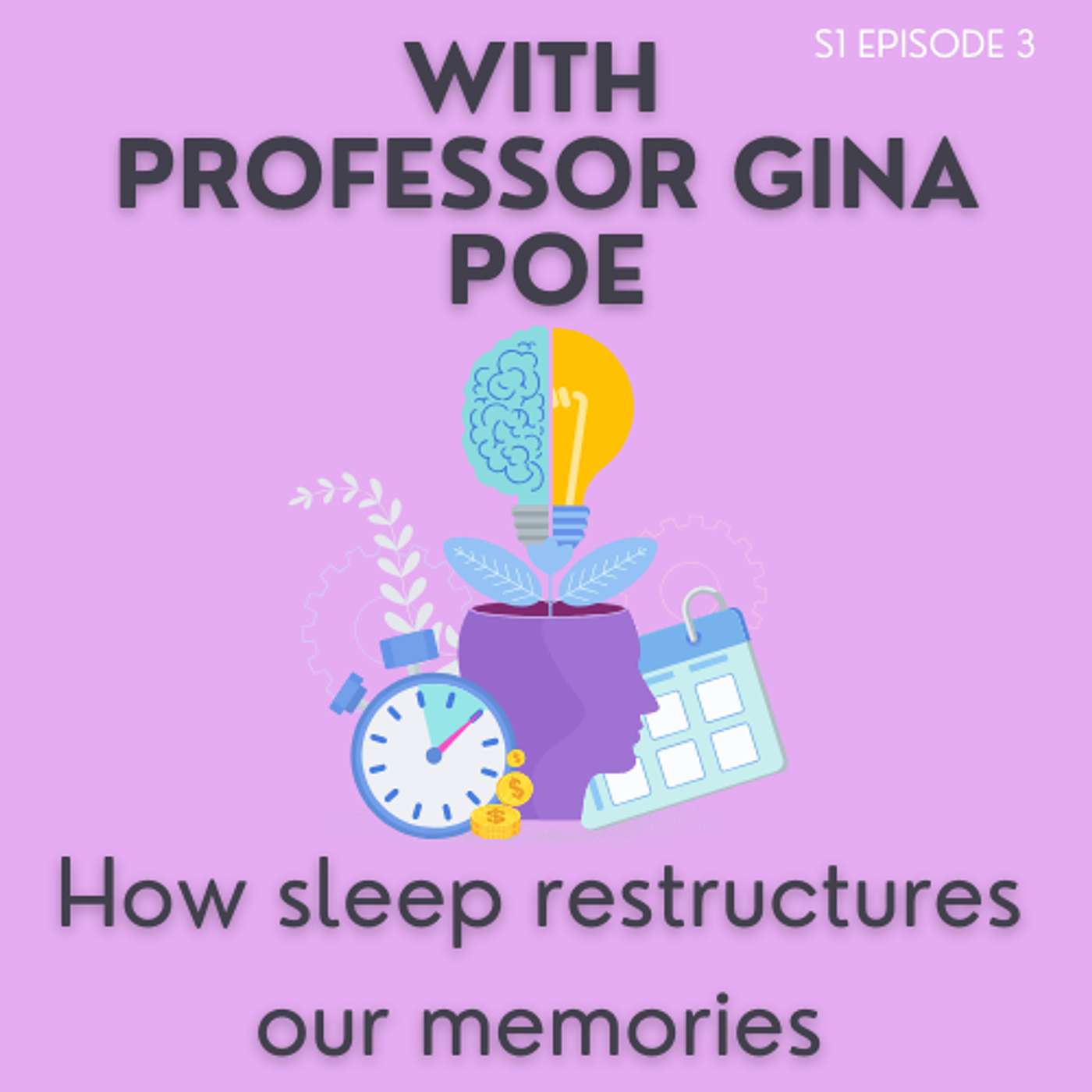 Sleep Science Podcast
