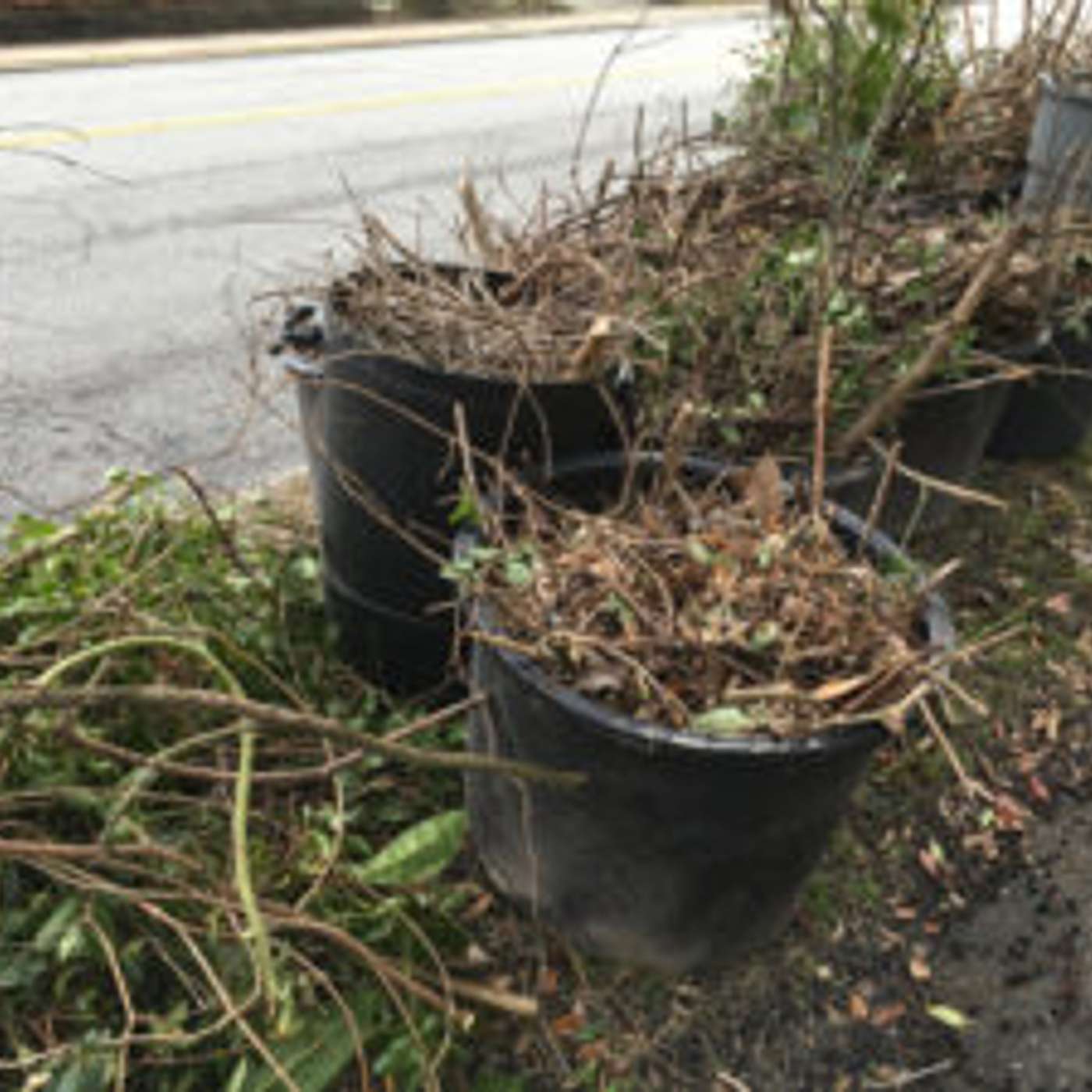 Free Yard Waste Drop-Off Begins in Yavapai County