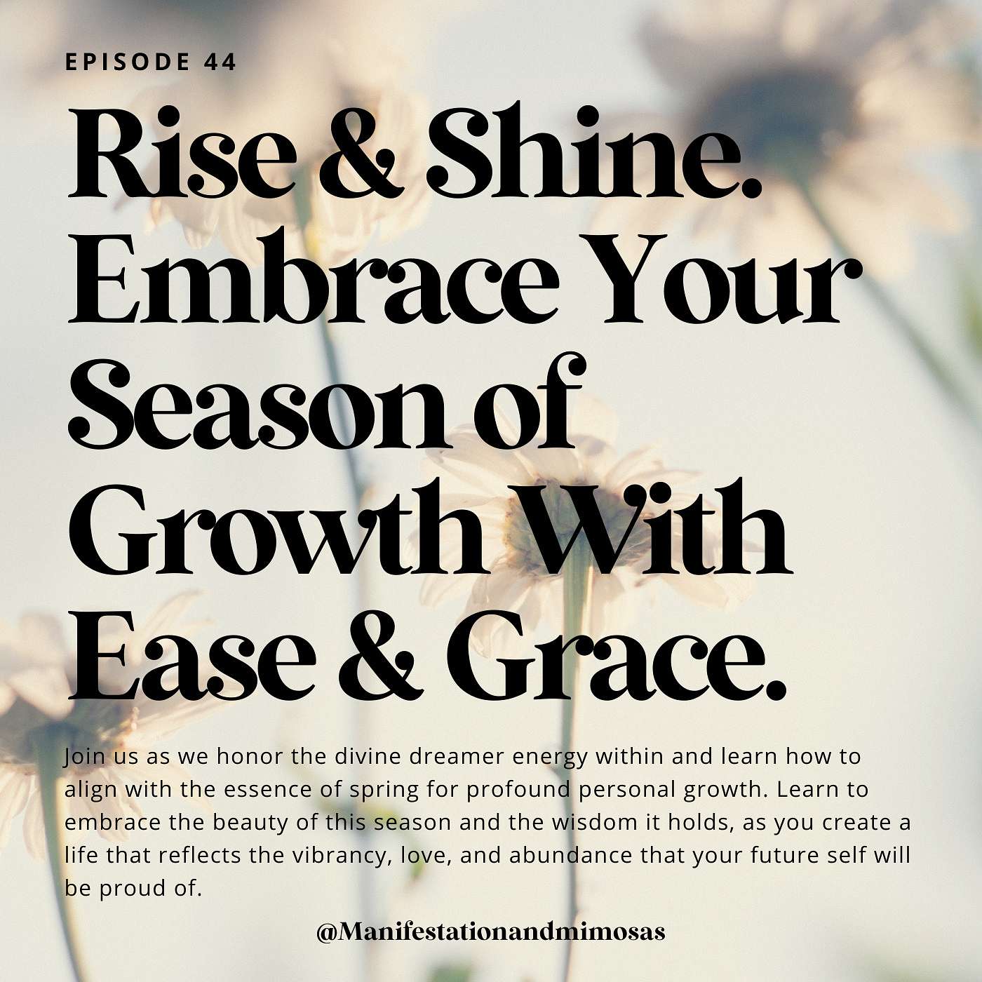 Manifestation and Mimosas