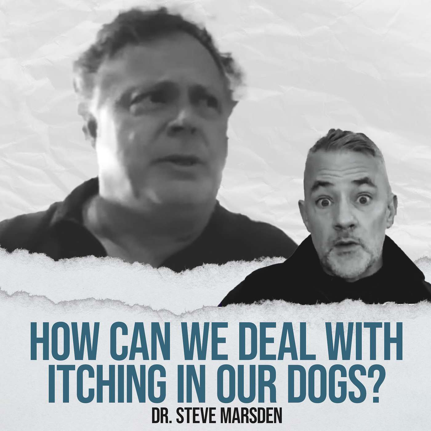 Gussy\'s Gut Podcast