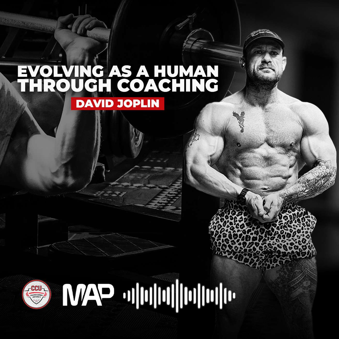 #201 - David Joplin - Evolving as a Human Through Coaching | Coaches Corner U episode artwork