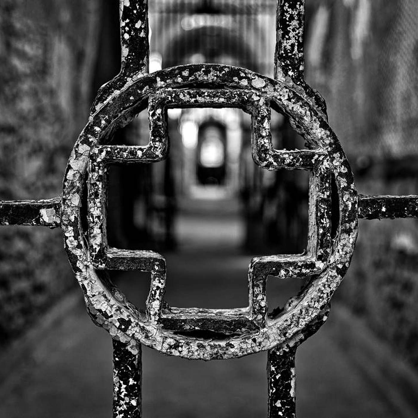 I KILLED THE PRISONS BY MD REVO - (AUDIO BOOK PREVIEW) episode artwork