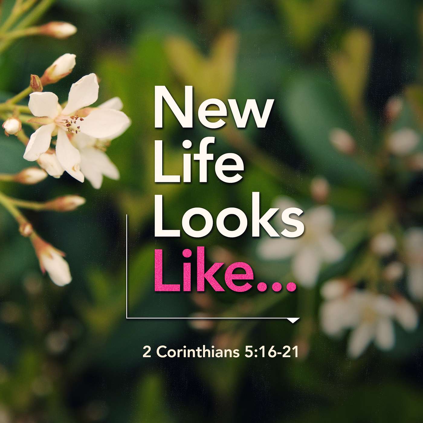 New Life Looks Like: Adoption - Week Three episode artwork