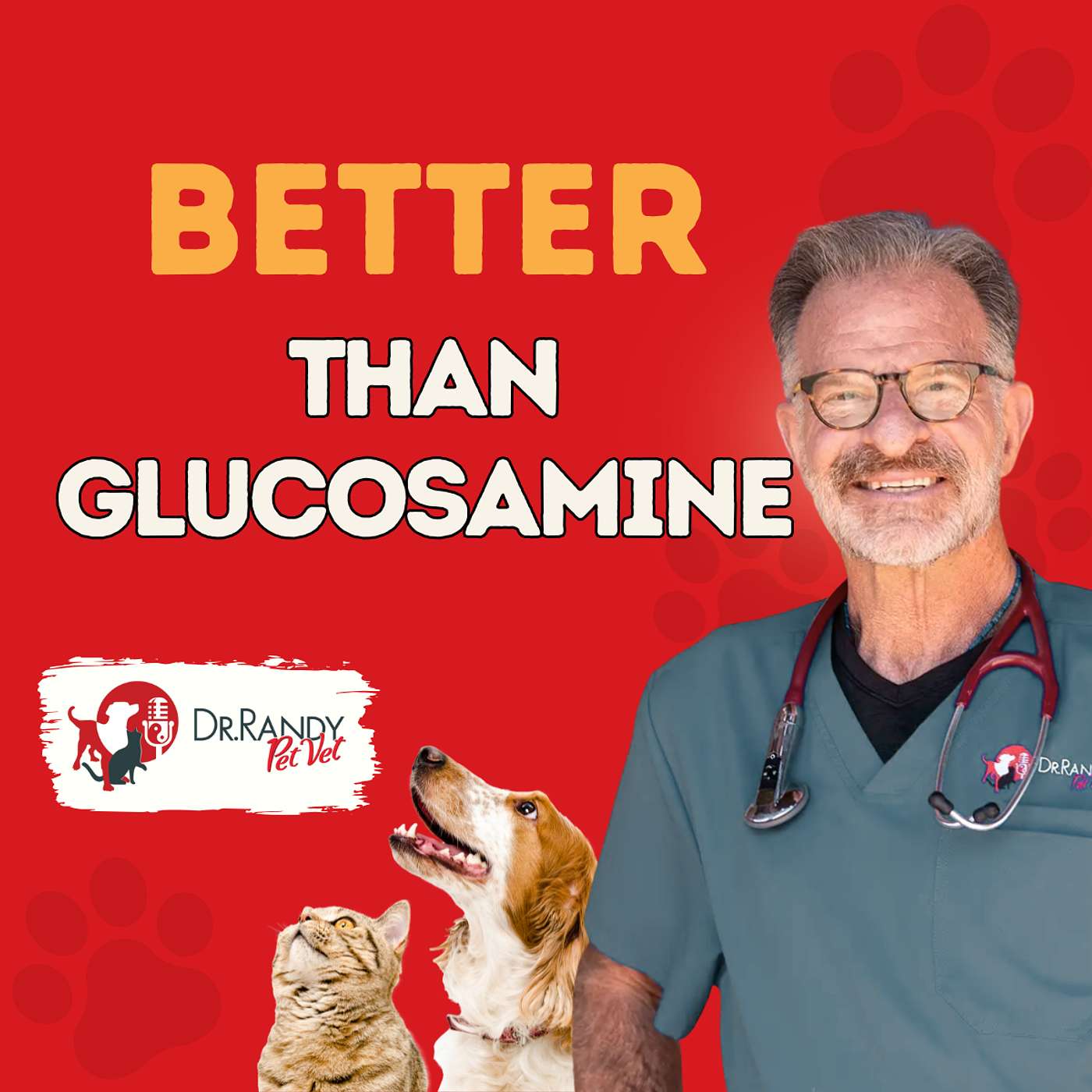 Paws, Reflect & Heal with Dr. Randy