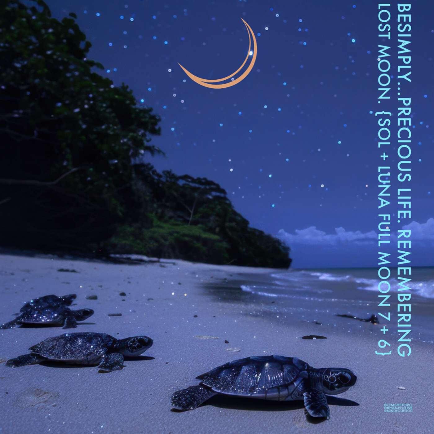 BeSimply... Precious Life. Remembering Lost Moon {Sol + Luna New Moon 7 + 6}