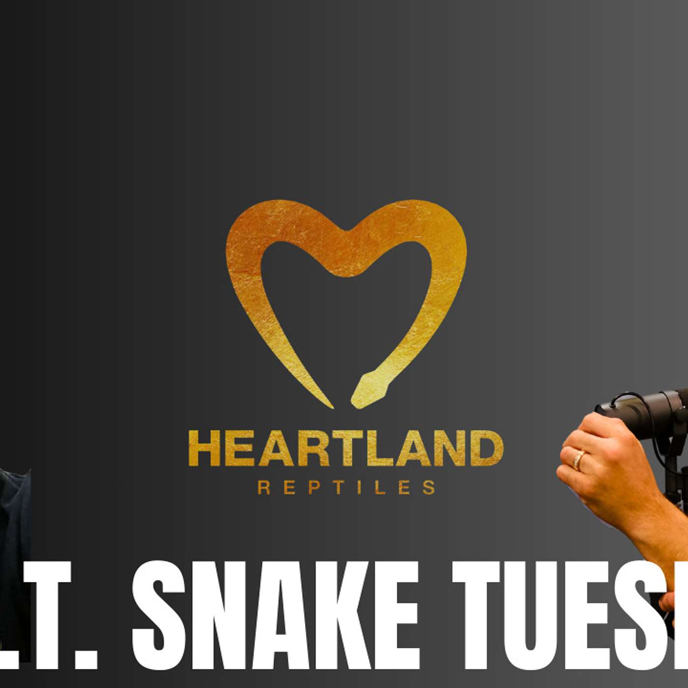 Jordan breaks down his new style of enclosure for his Reticulated Pythons