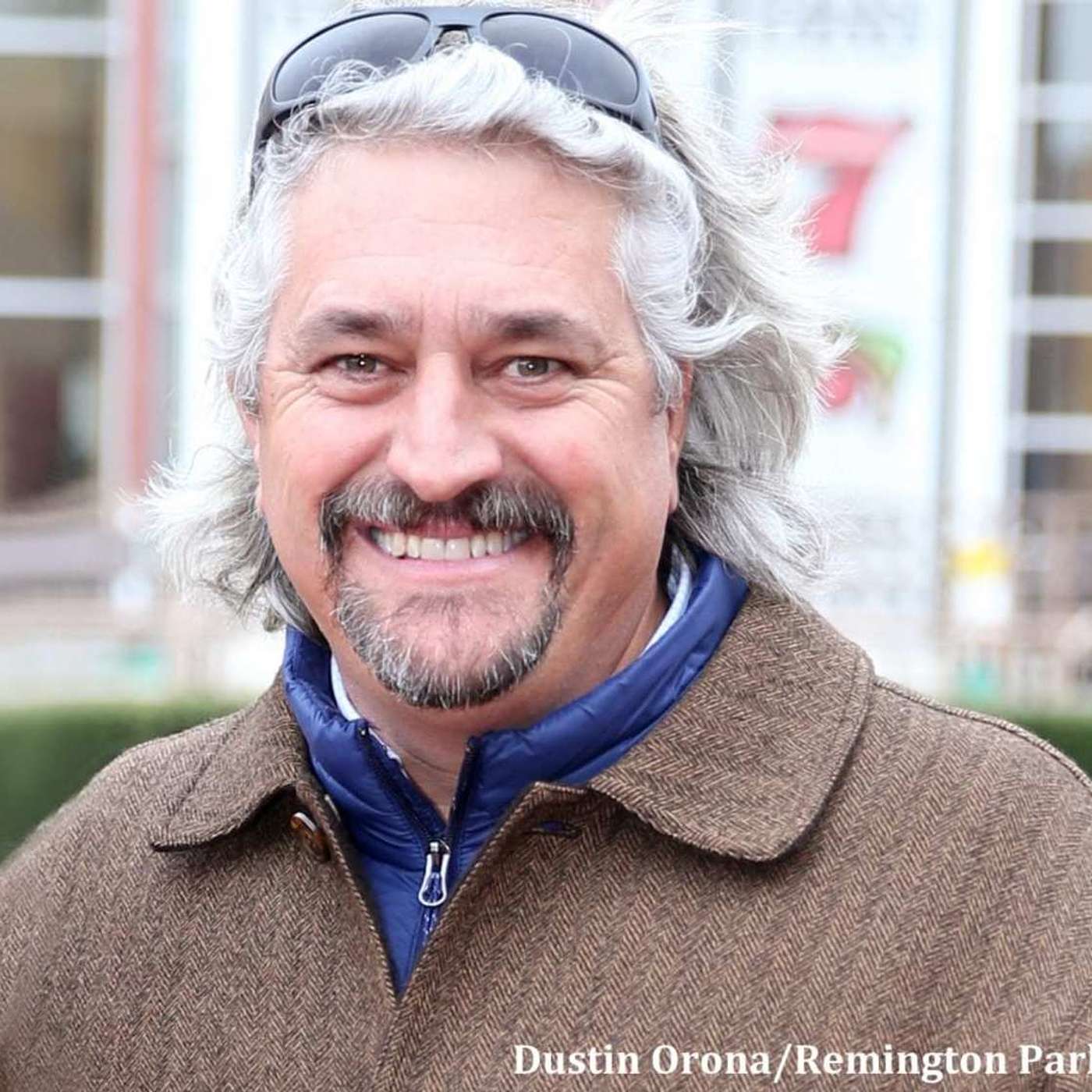 StallioneSearch Podcasts