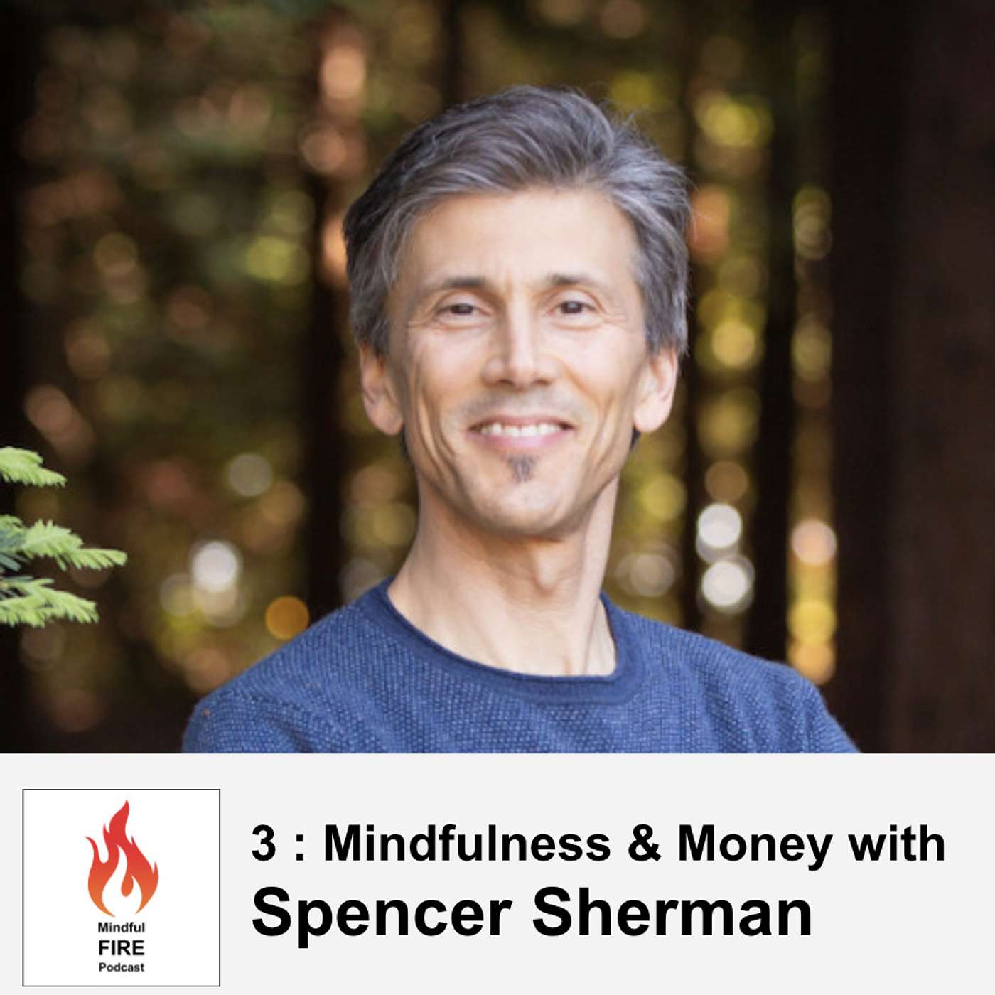 3: Mindfulness and Money with Spencer Sherman