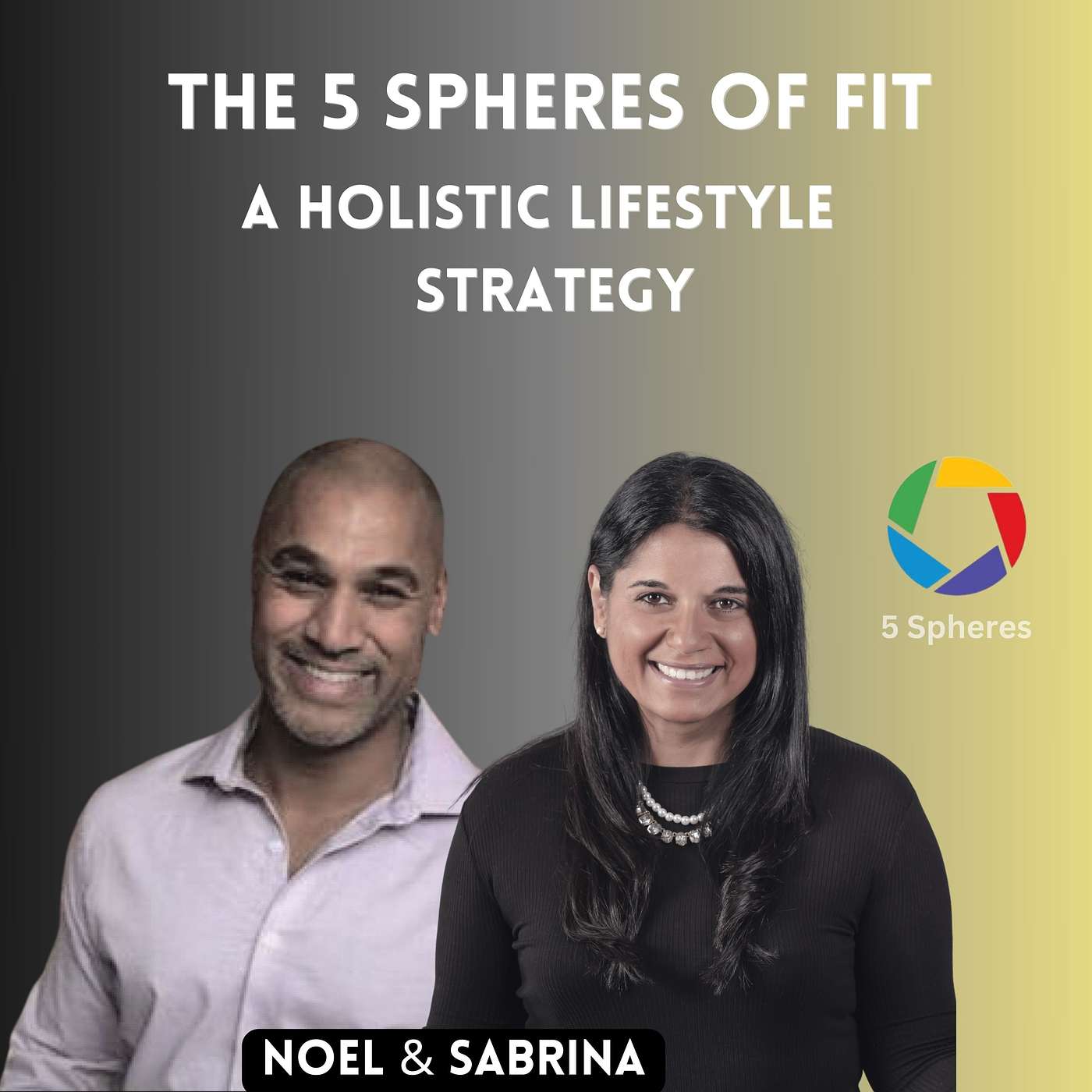 The 5 Spheres of Fit
