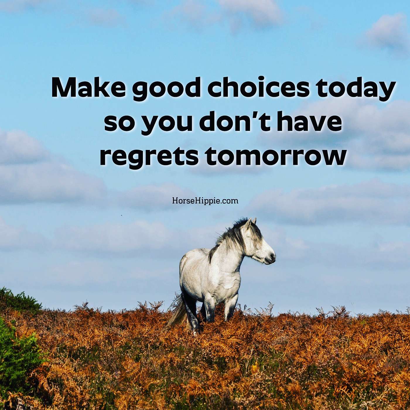 In Charge of Your Choices