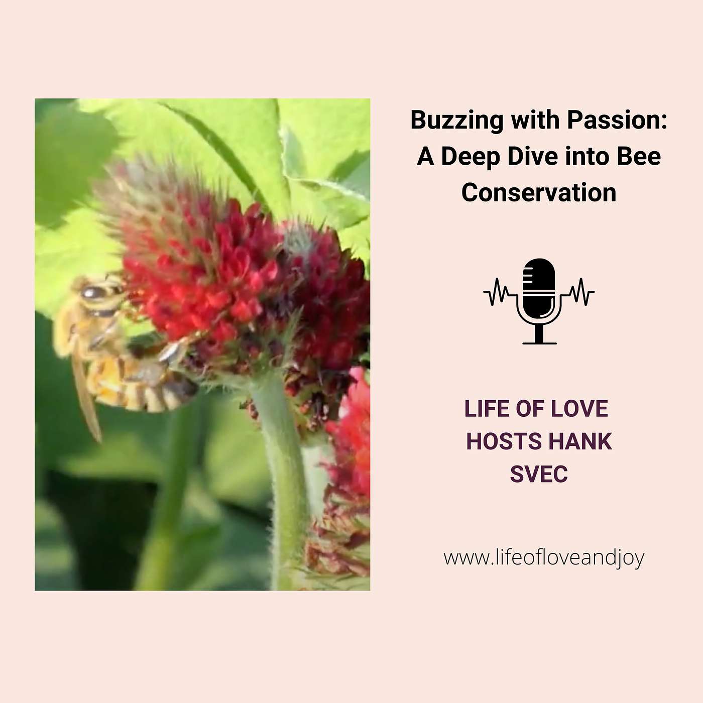Life of Love with Julie Hilsen
