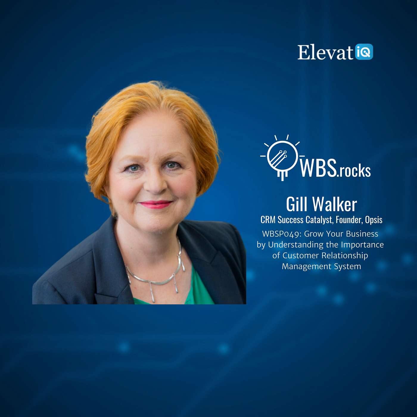 WBSRocks: Business Growth with Enterprise Software and Digital Transformation