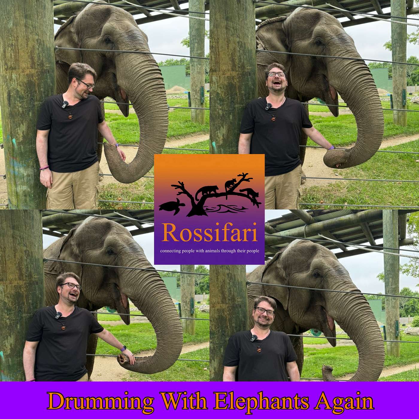 Drumming with Elephants Again with Emily the Elephant at Buttonwood Park Zoo