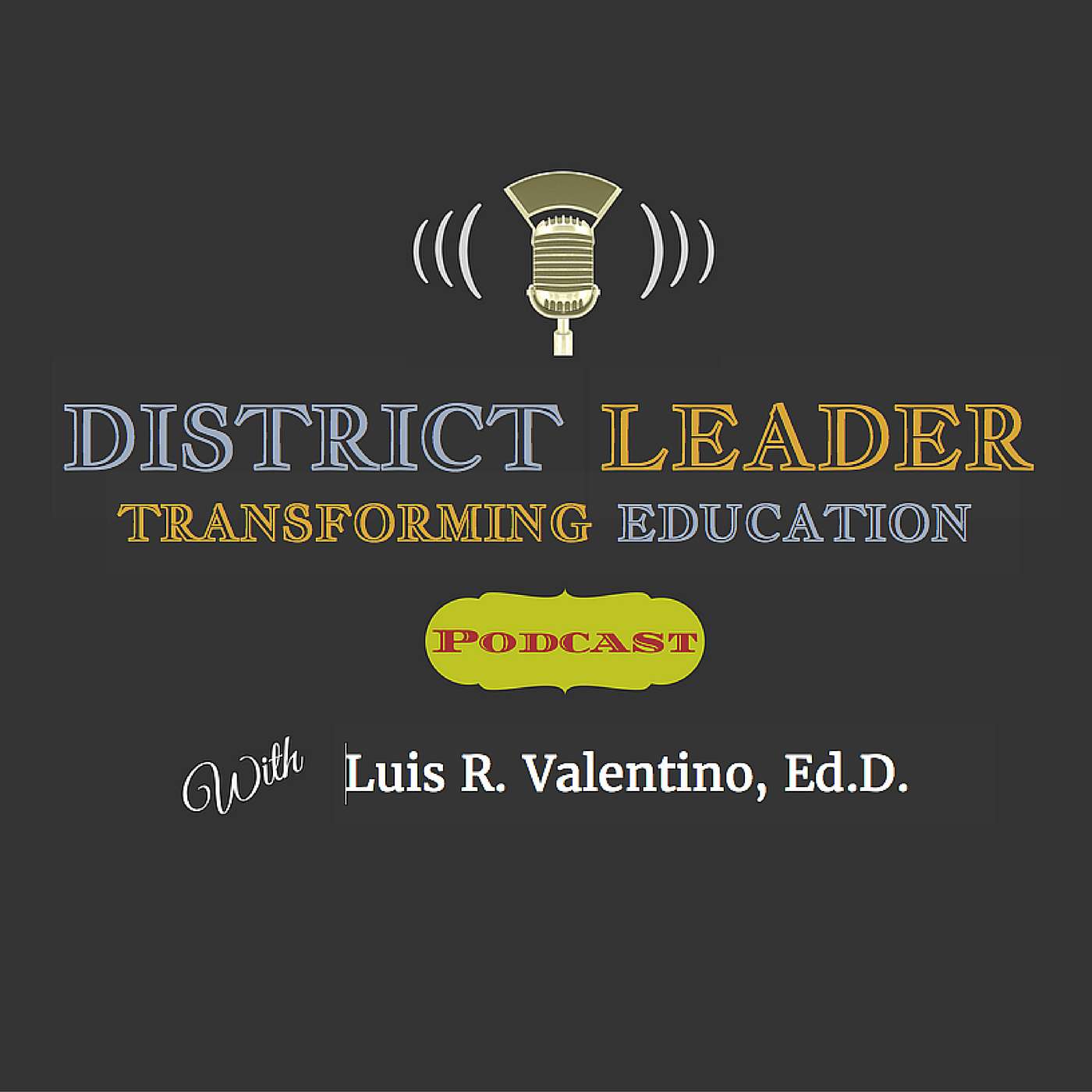 District Leader