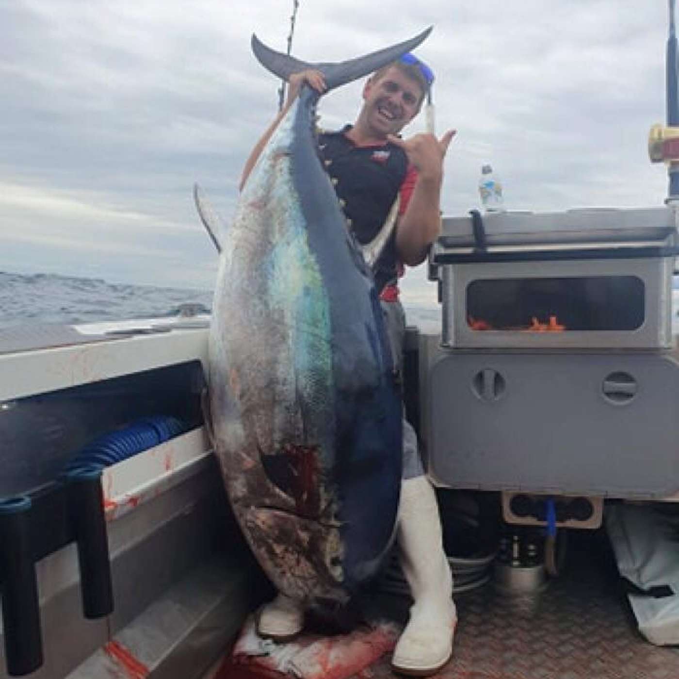 All The Gear But No Idea - The South Australian Fishing Podcast