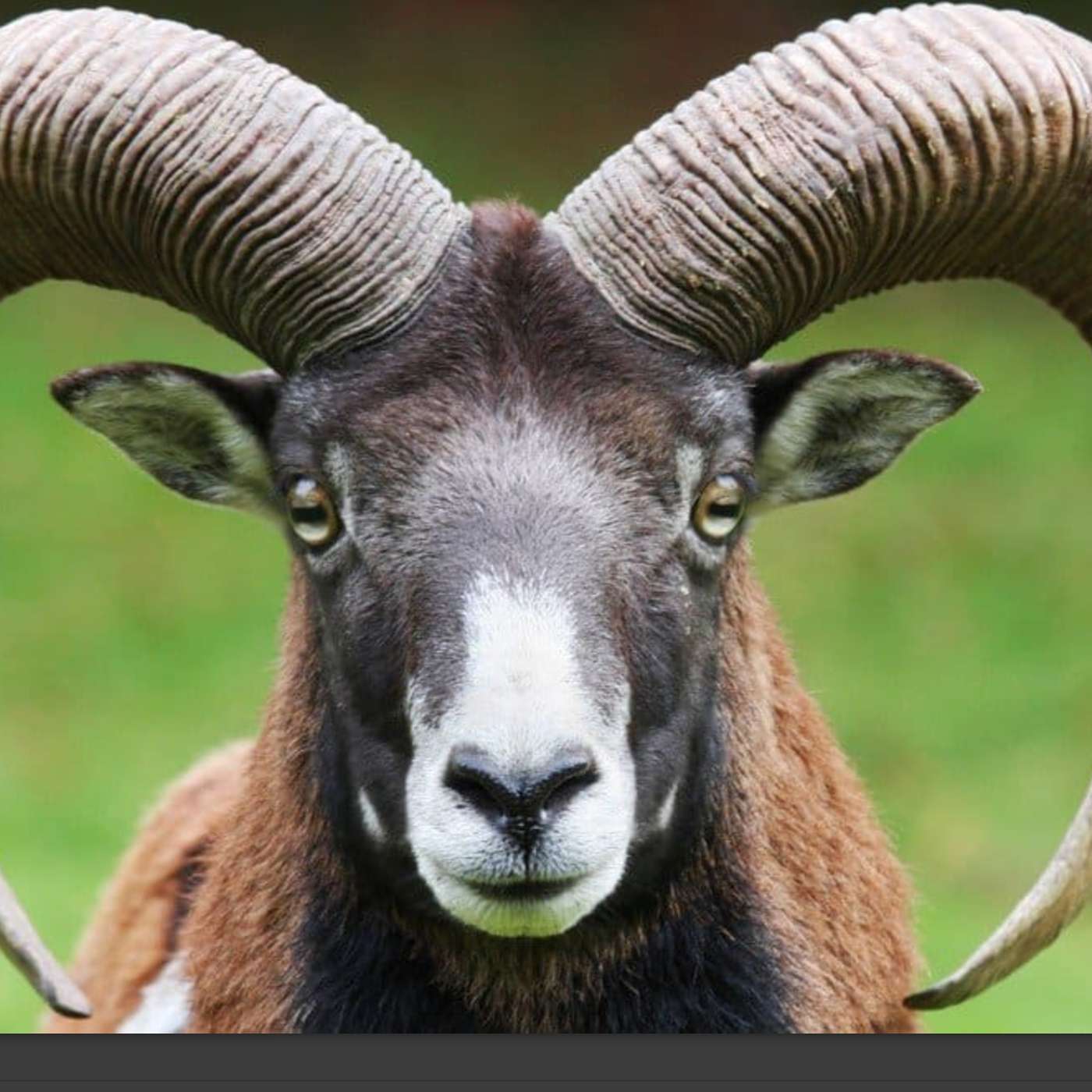 Collaboration in soul 