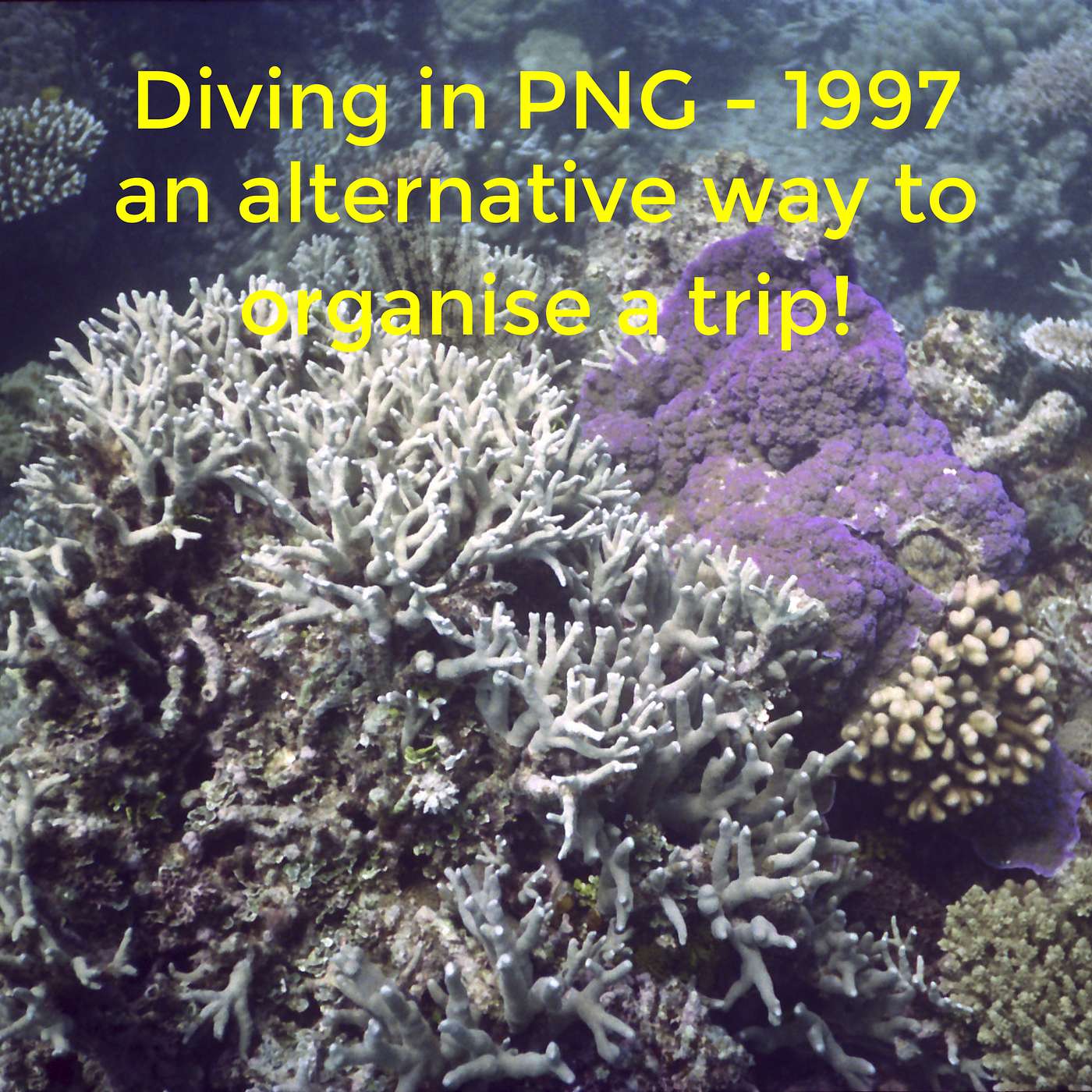 Diving in PNG - 1997, an alternative way to organise a trip