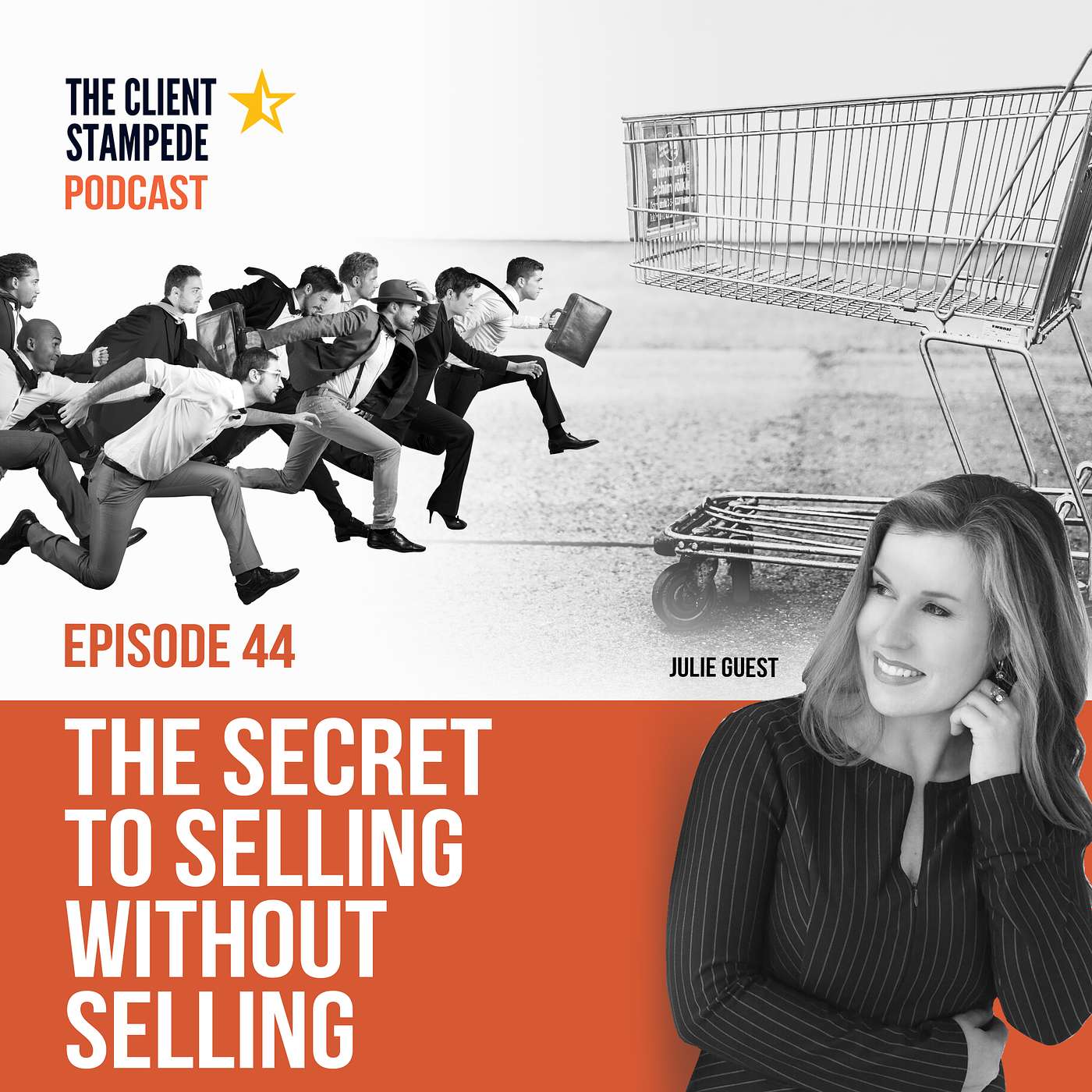 #44 The Secret To Selling Without Selling
