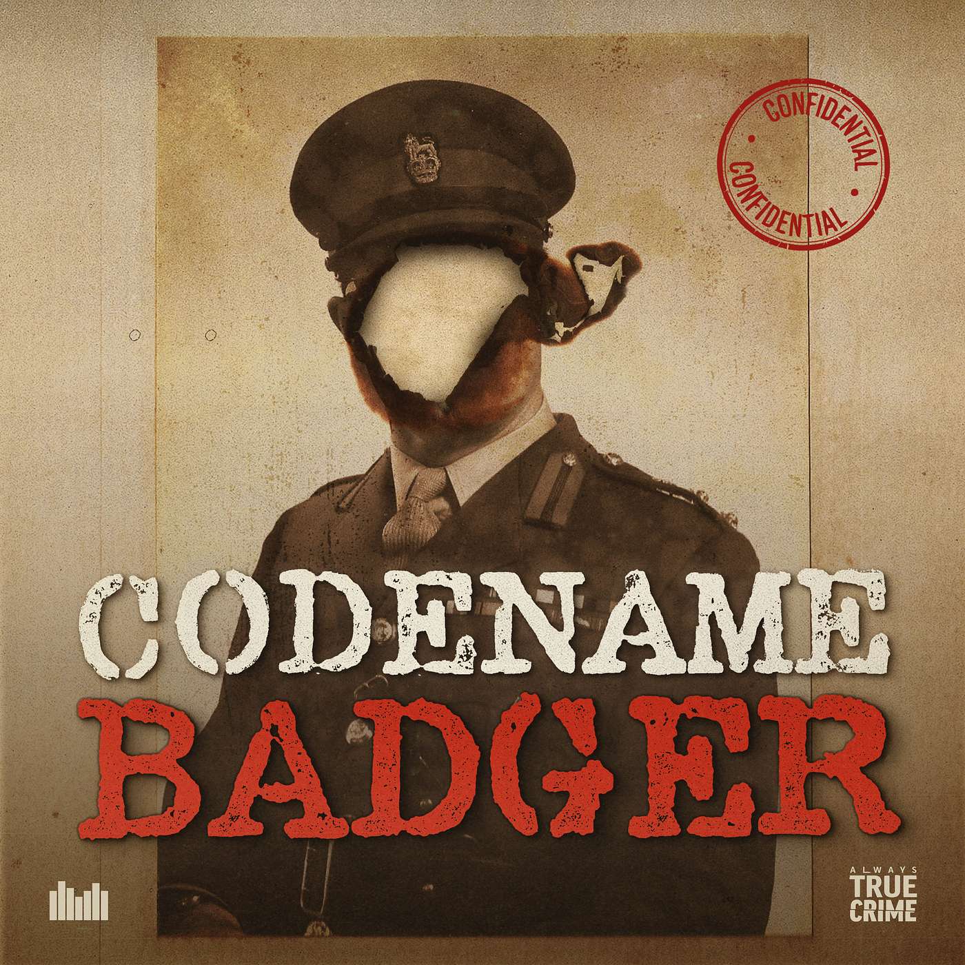 Back? And in the meantime Codename Badger