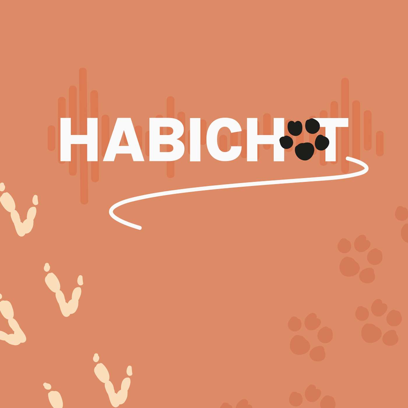 cover of episode HabiChat: Brush-tailed bettong