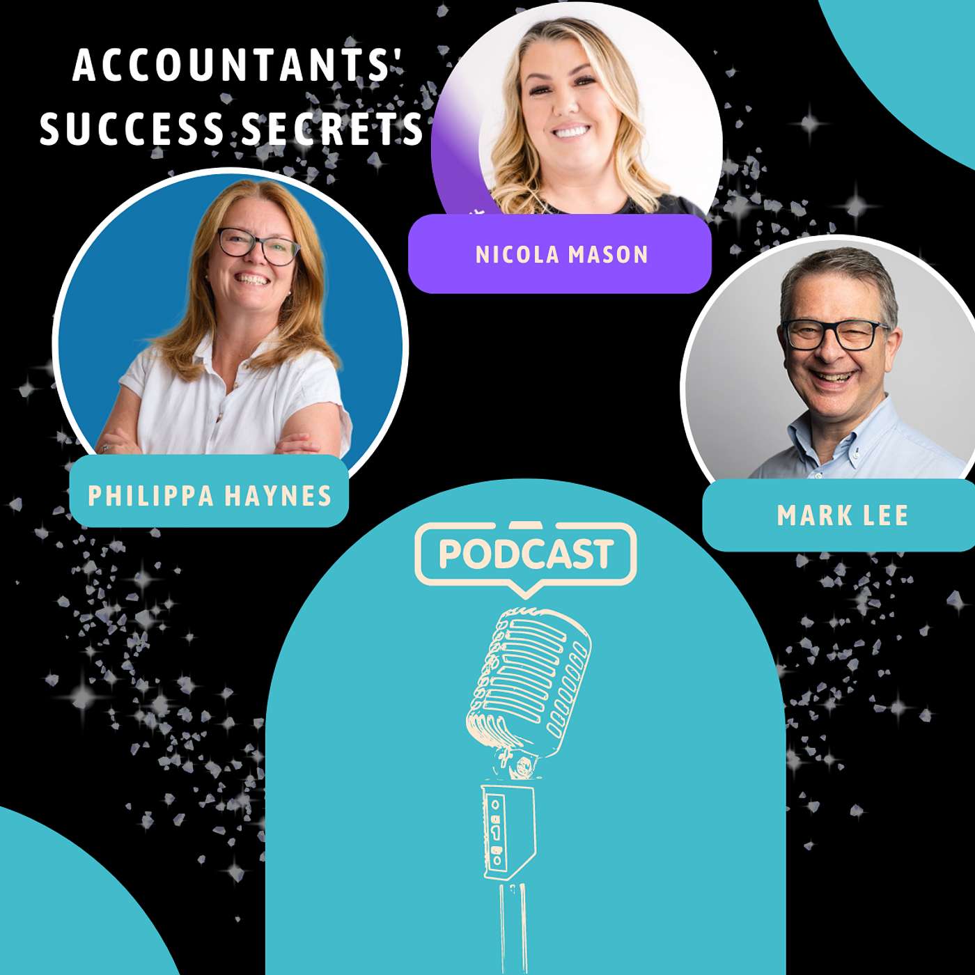 Accountants\' Success Secrets