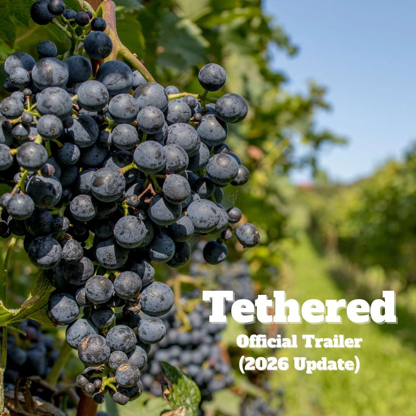 What is Tethered All About? (2026 Trailer)