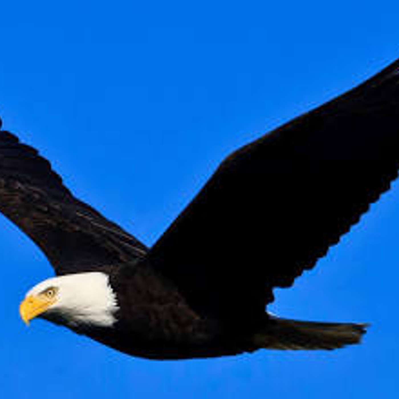 On Eagle’s Wings Podcast 