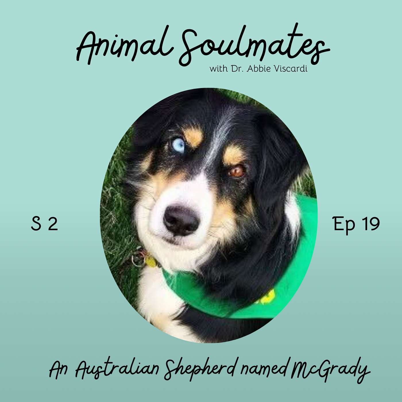 Animal Soulmates