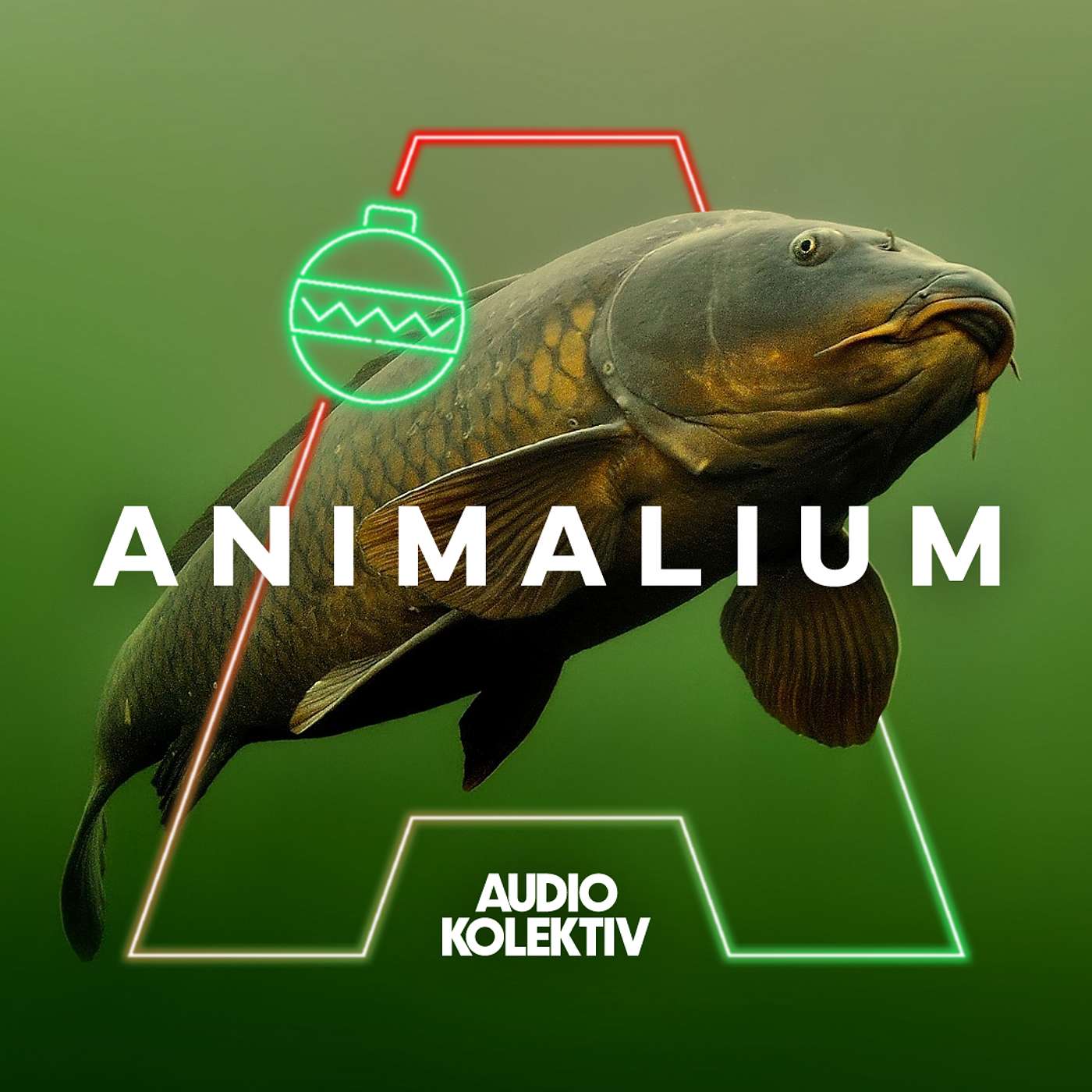 Animalium: Kapr — sváteční poutník, hrdina i vetřelec episode artwork
