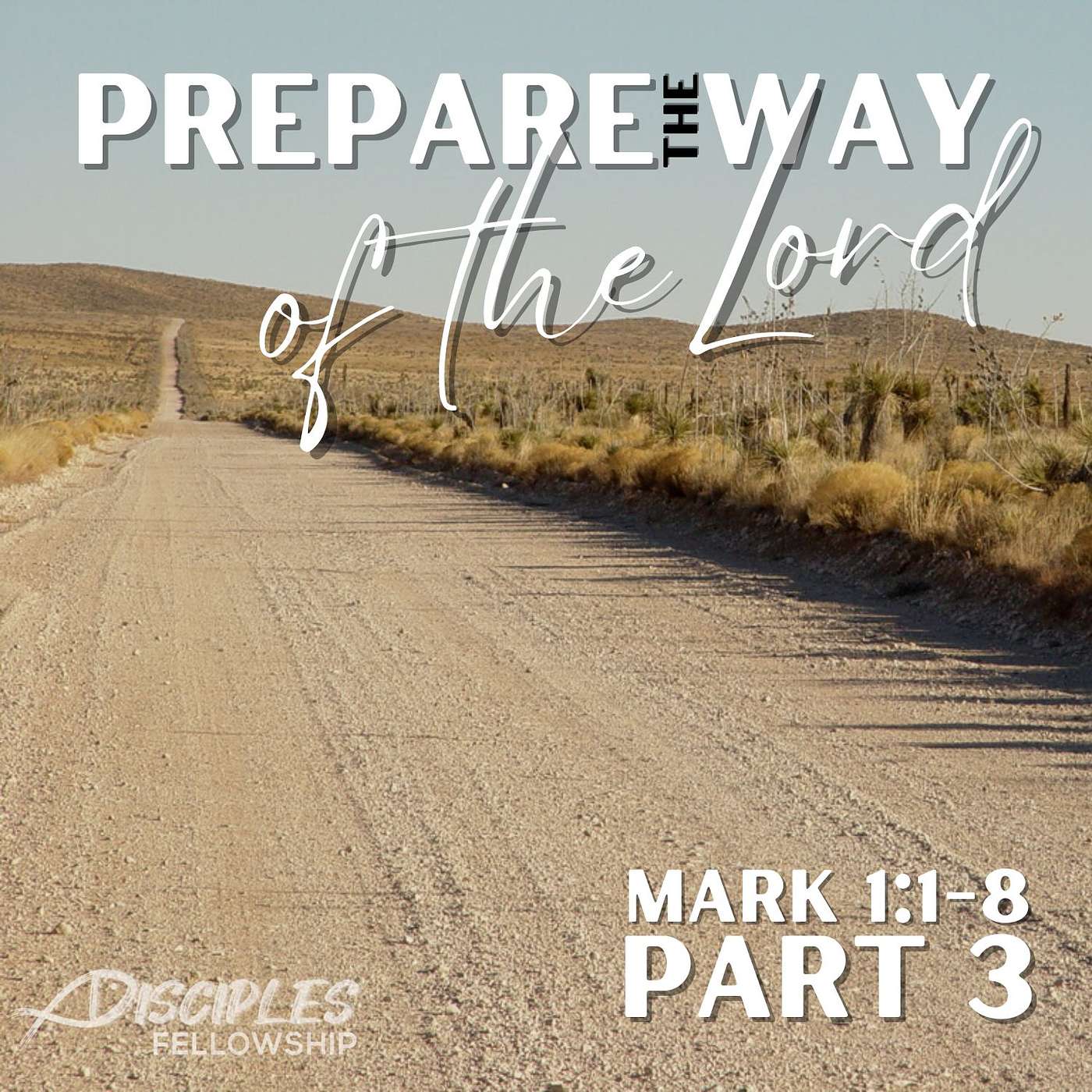 Prepare the Way of the Lord, Part 3; Mark 1:1-8