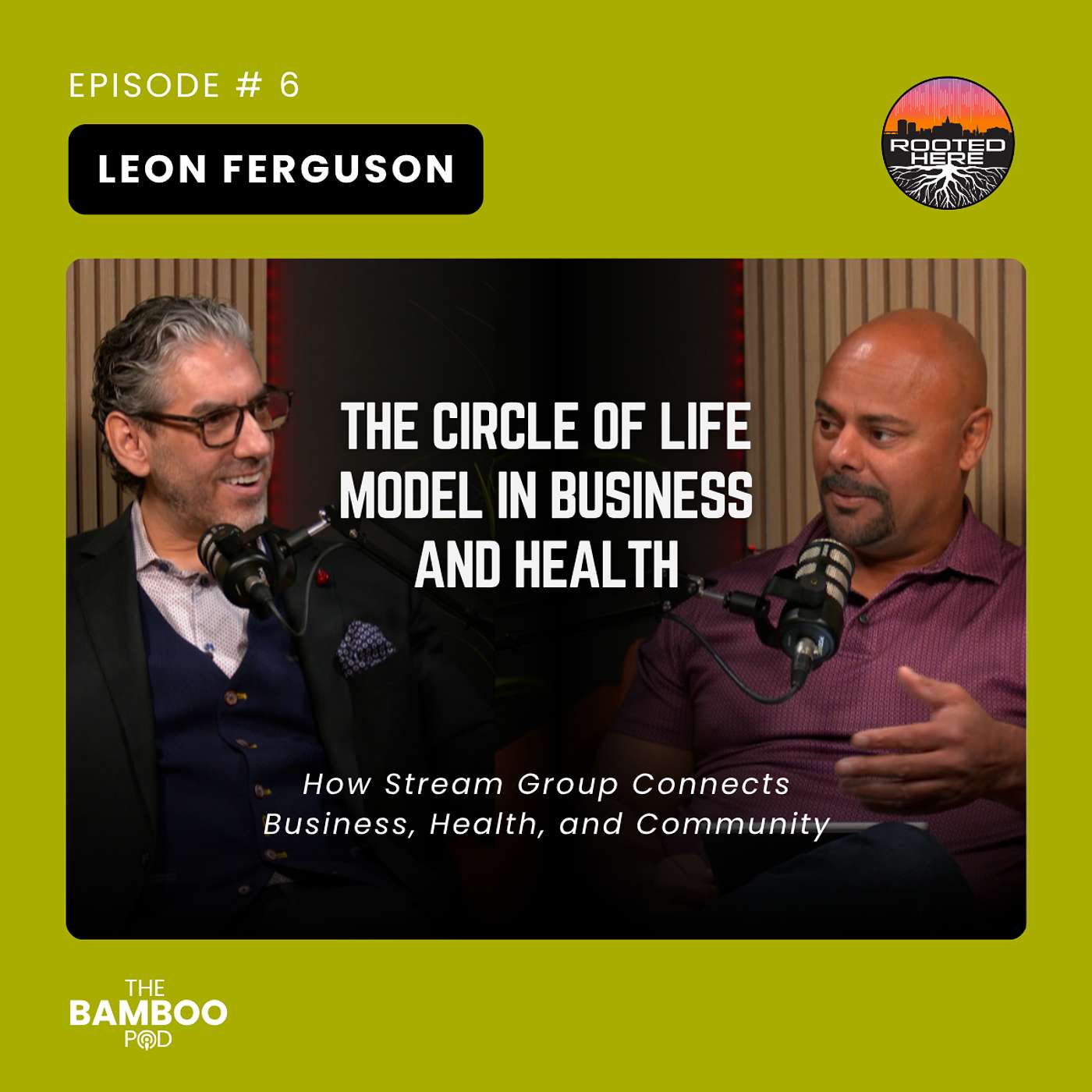 The Circle of Life Model in Business and Health episode artwork