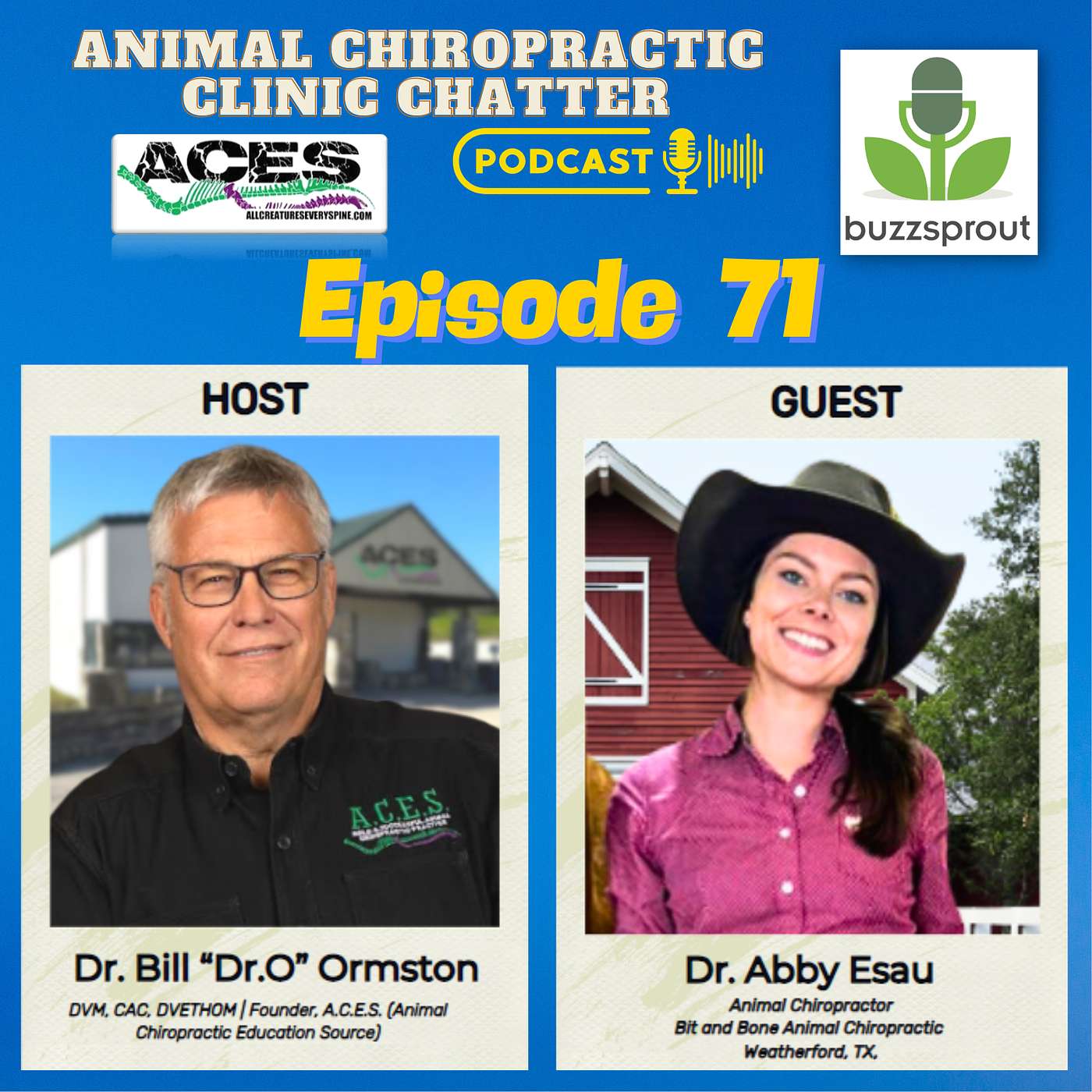 Animal Chiropractic Clinic Chatter