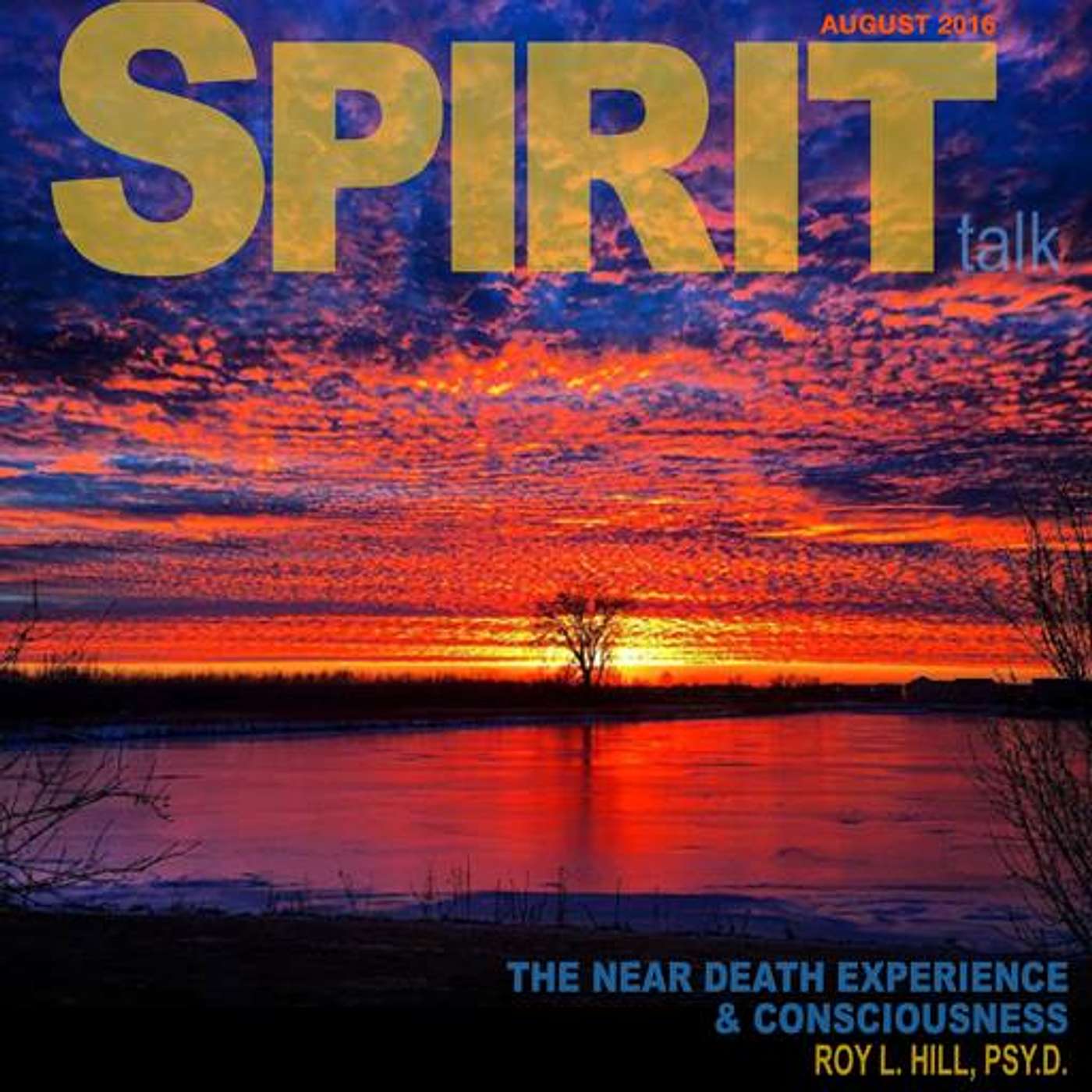 #84 - Near Death Experiences (NDE's) and Consciousness with Roy L Hill, Psy.D episode artwork