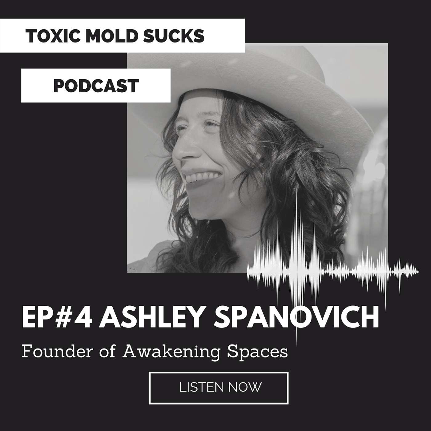 Episode #4 Ashley Spanovich - Shared tips on how to build a Healthy Home