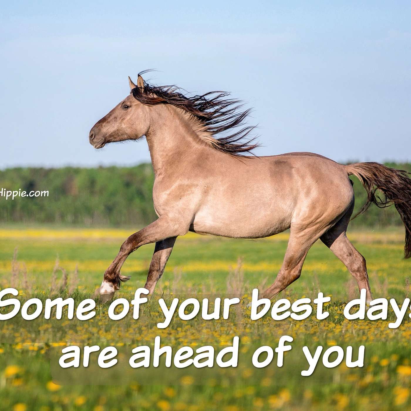 Best Days Are Ahead of You
