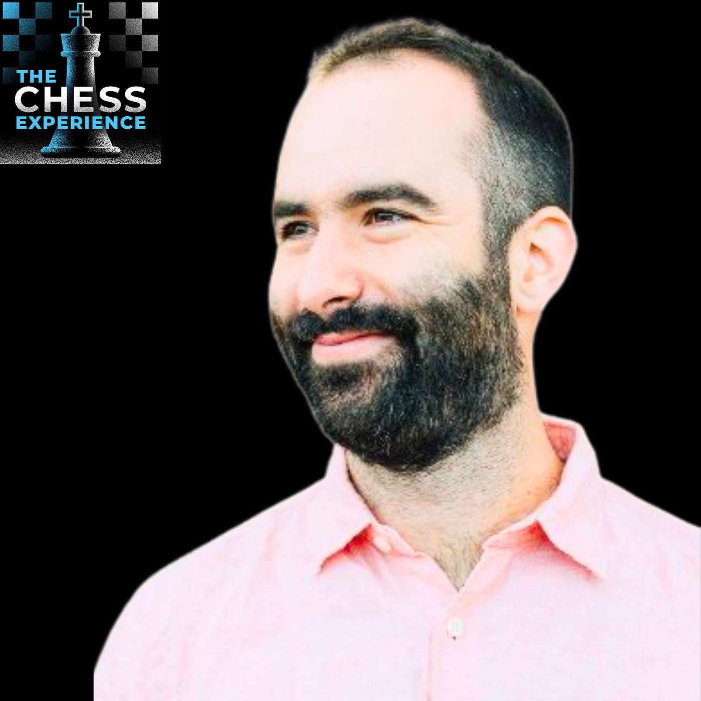 The Chess Experience