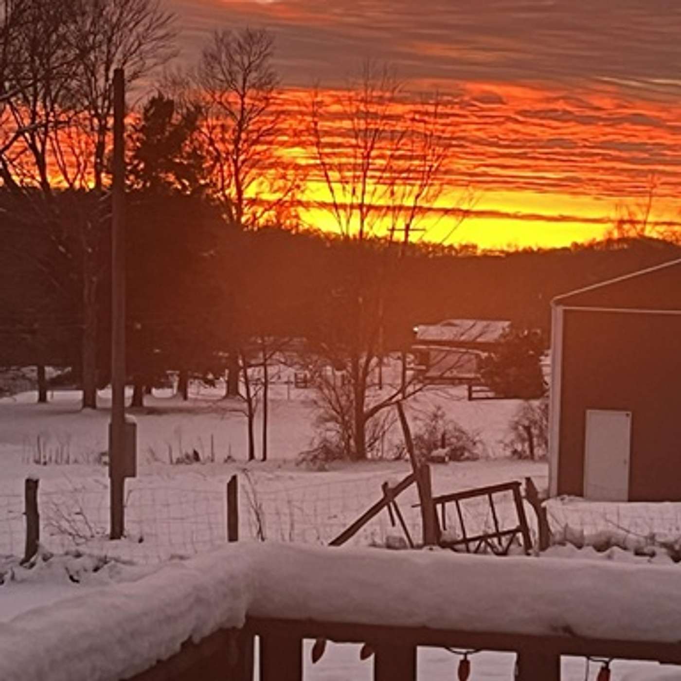 Frank in WV