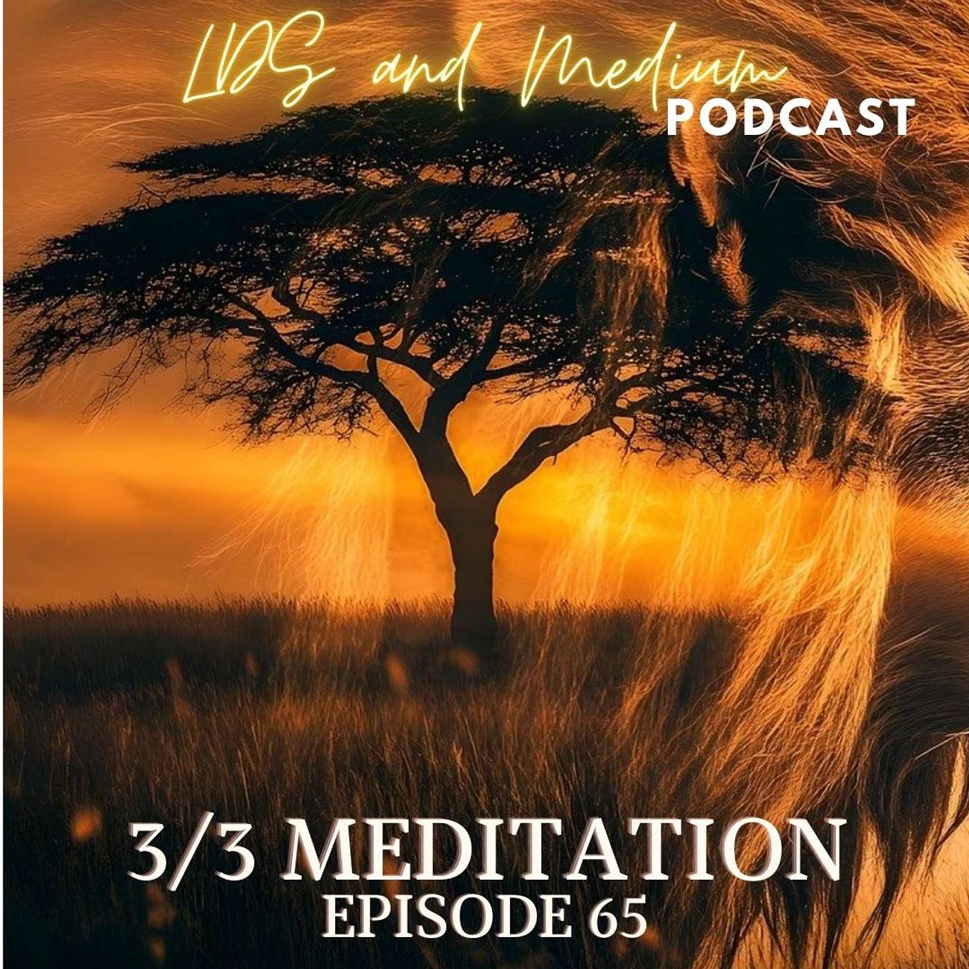 March 3rd (2026): Guided Meditation