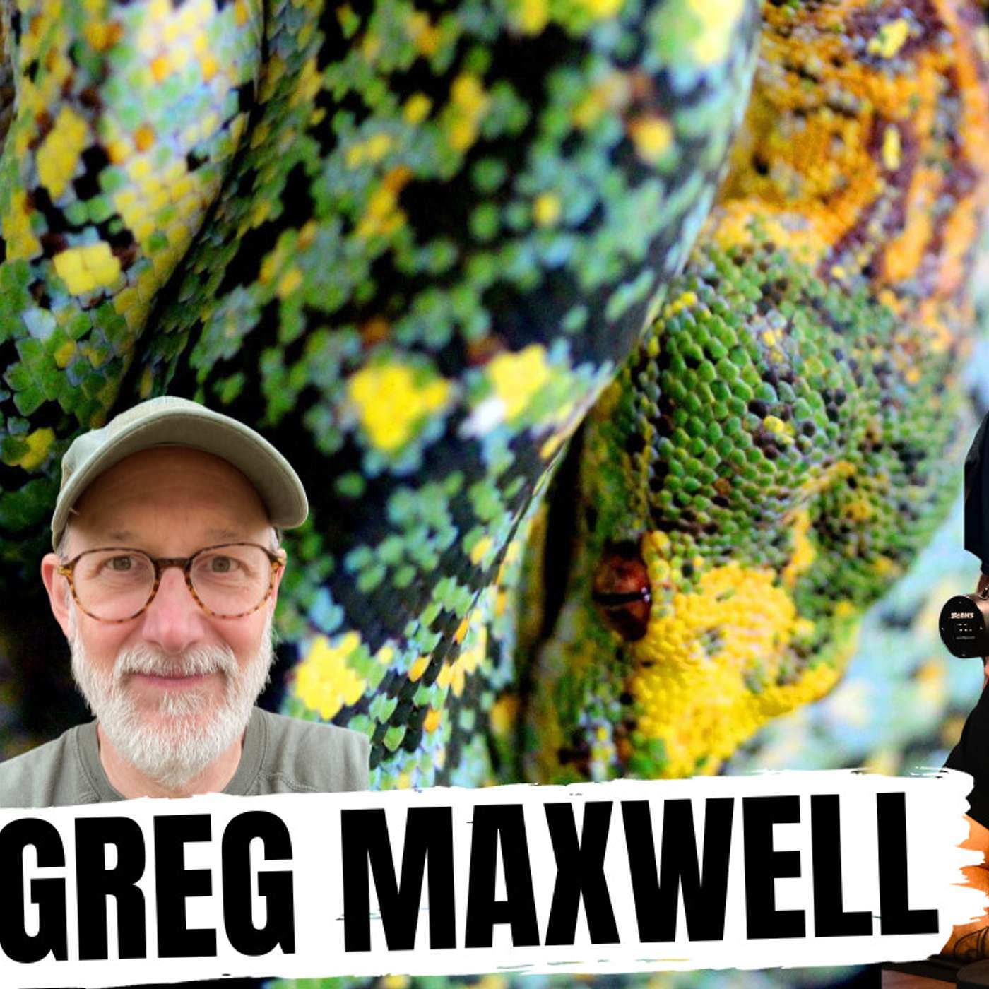 The Great & Powerful Greg Maxwell | All In The Tree Tuesday's