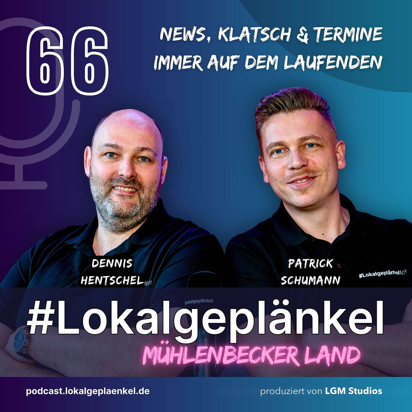 Birkenwerder - Bürgermeister Zimniok im Gespräch episode artwork