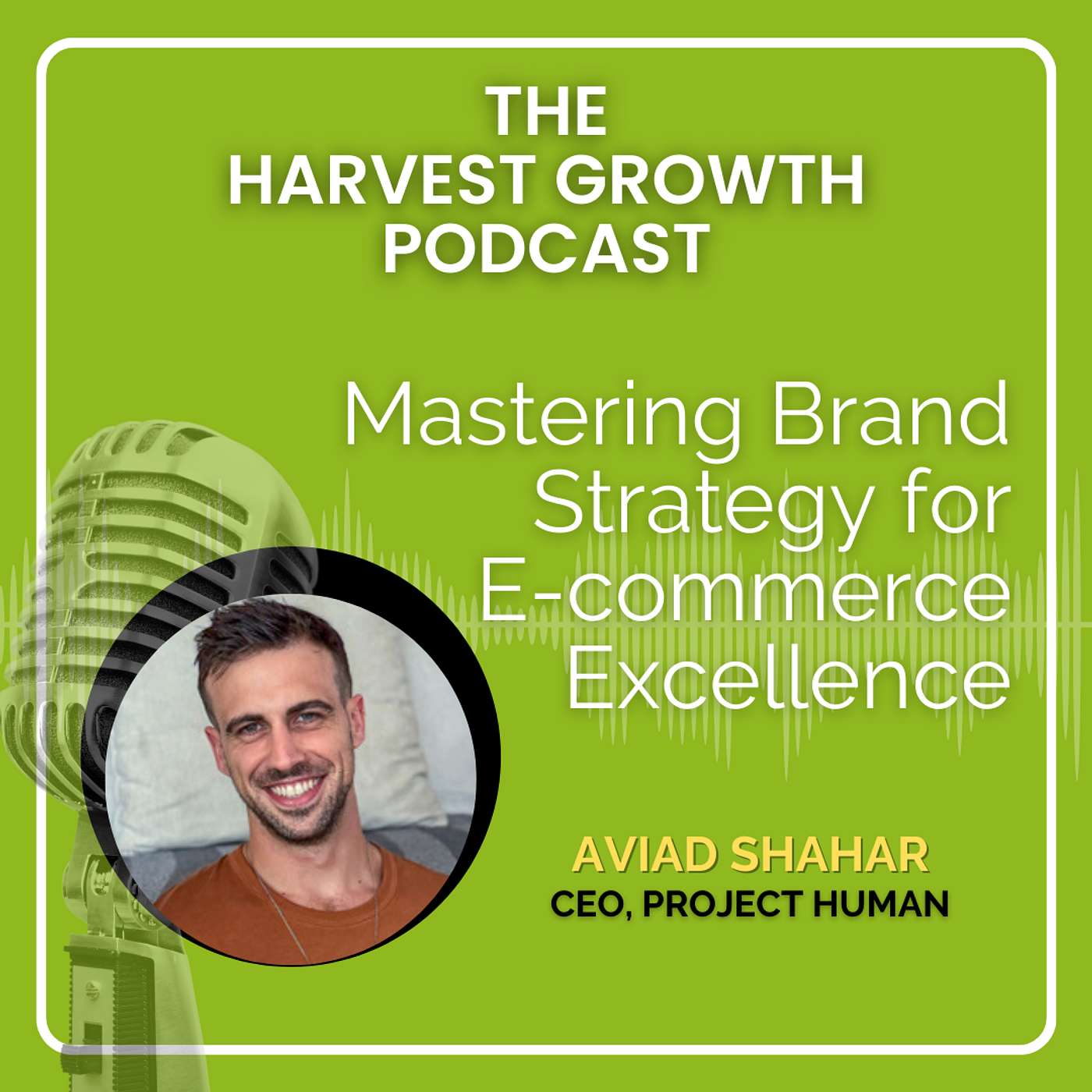 Mastering Brand Strategy For E-commerce Excellence