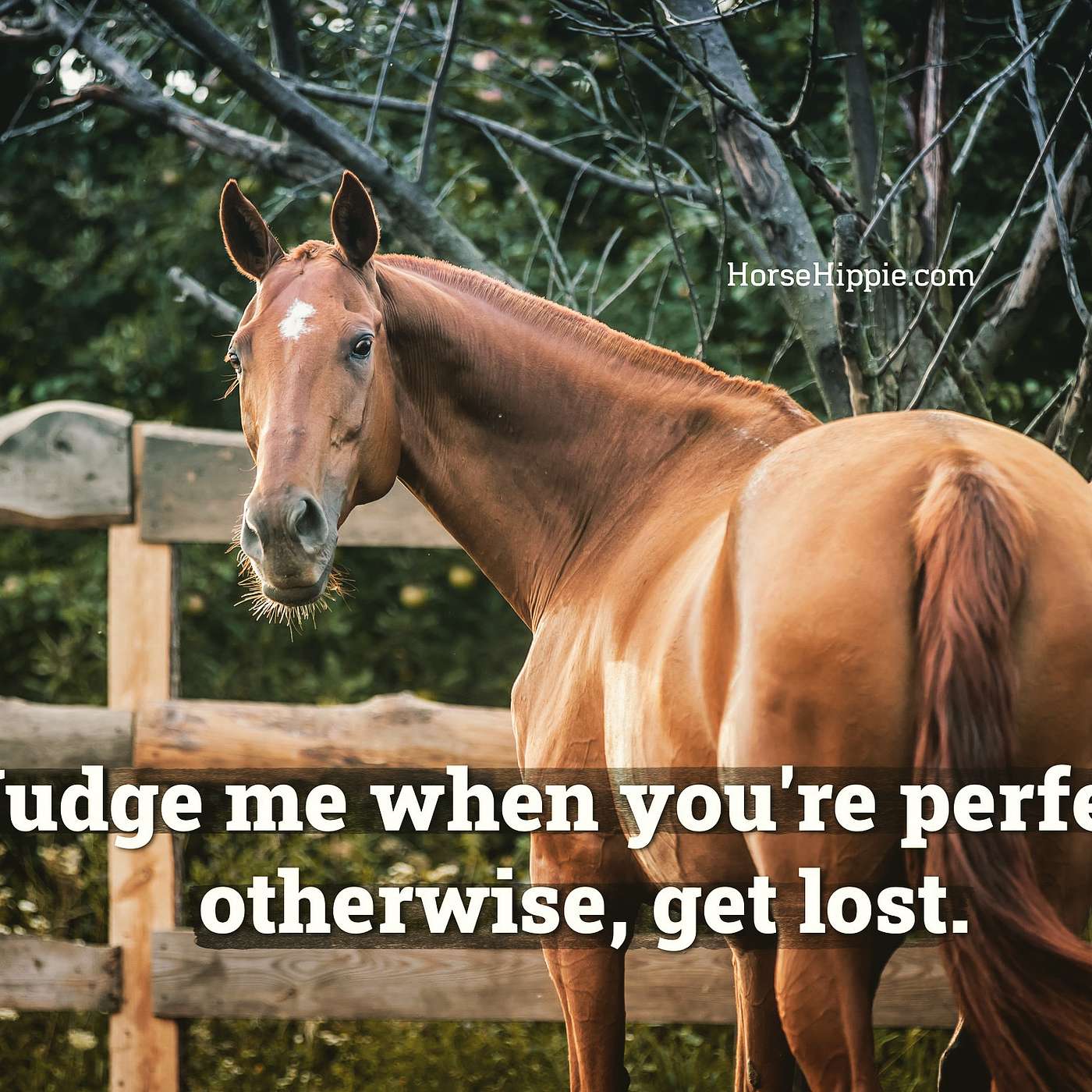 Nobody’s Perfect