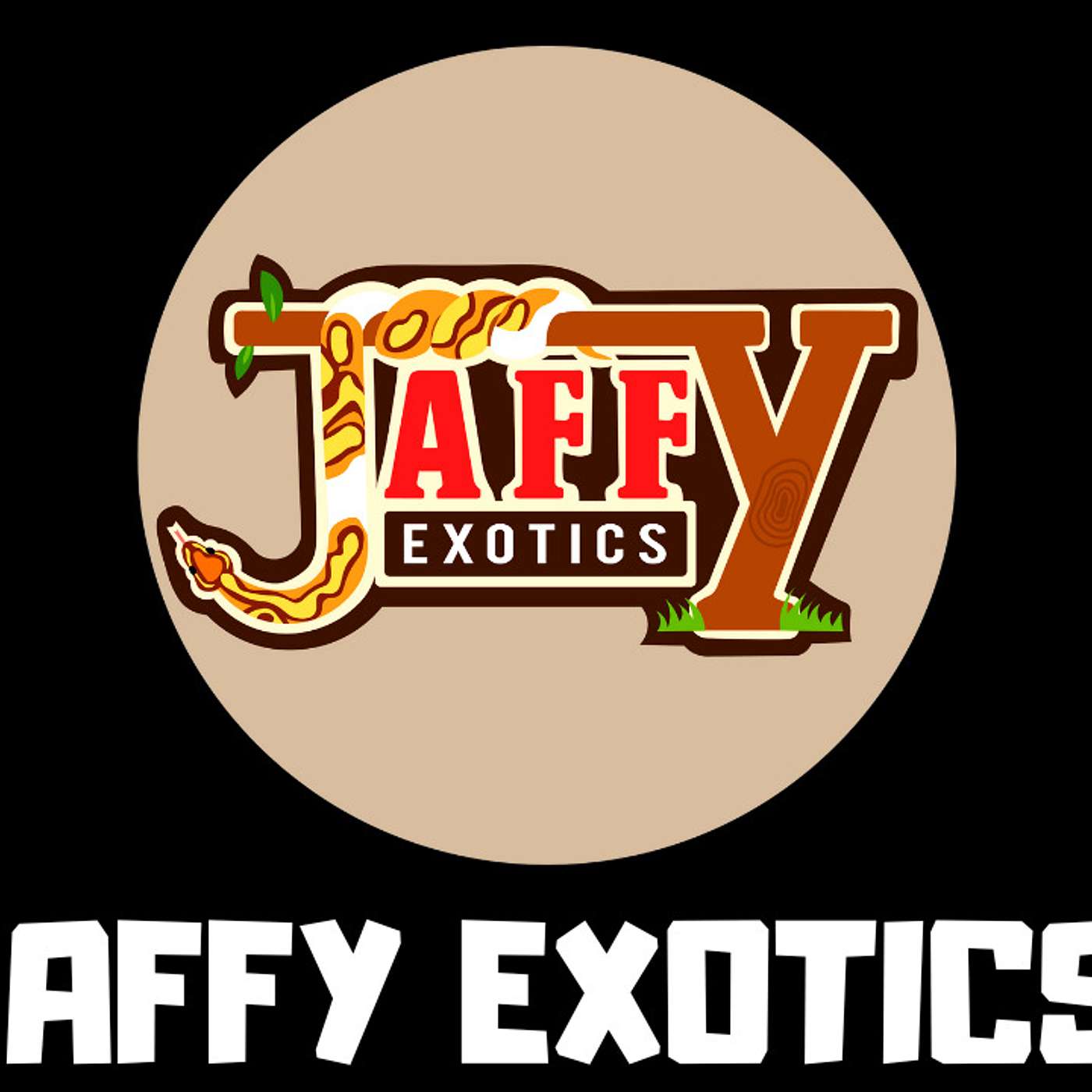 Up & Coming Ball Python Breeder Out Of Canada | Int'l Coffee & Dabs Sessions