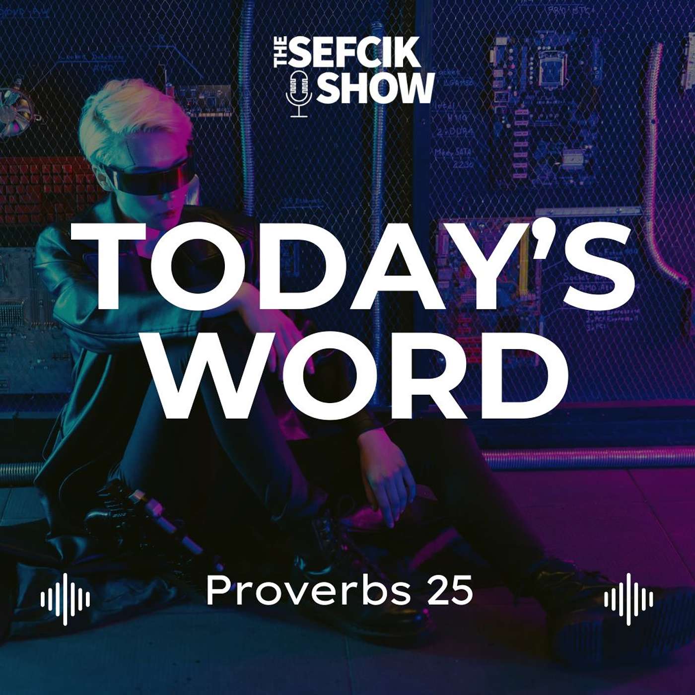 Today's Word Proverbs 25 episode artwork