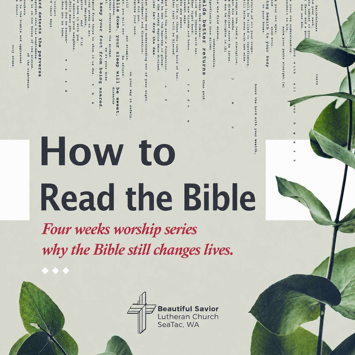 Why Read the Bible? // How to Read the Bible Week 1 Sermon episode artwork