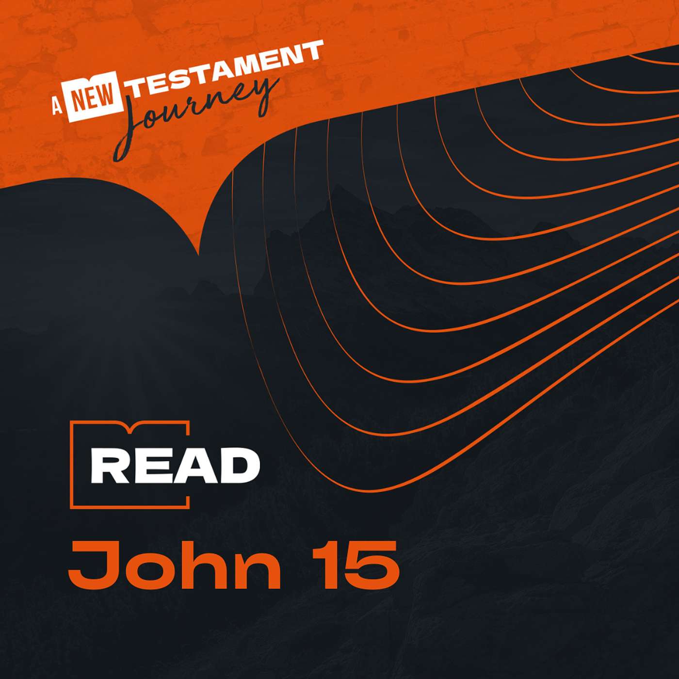 John 15 - Monday 10th November