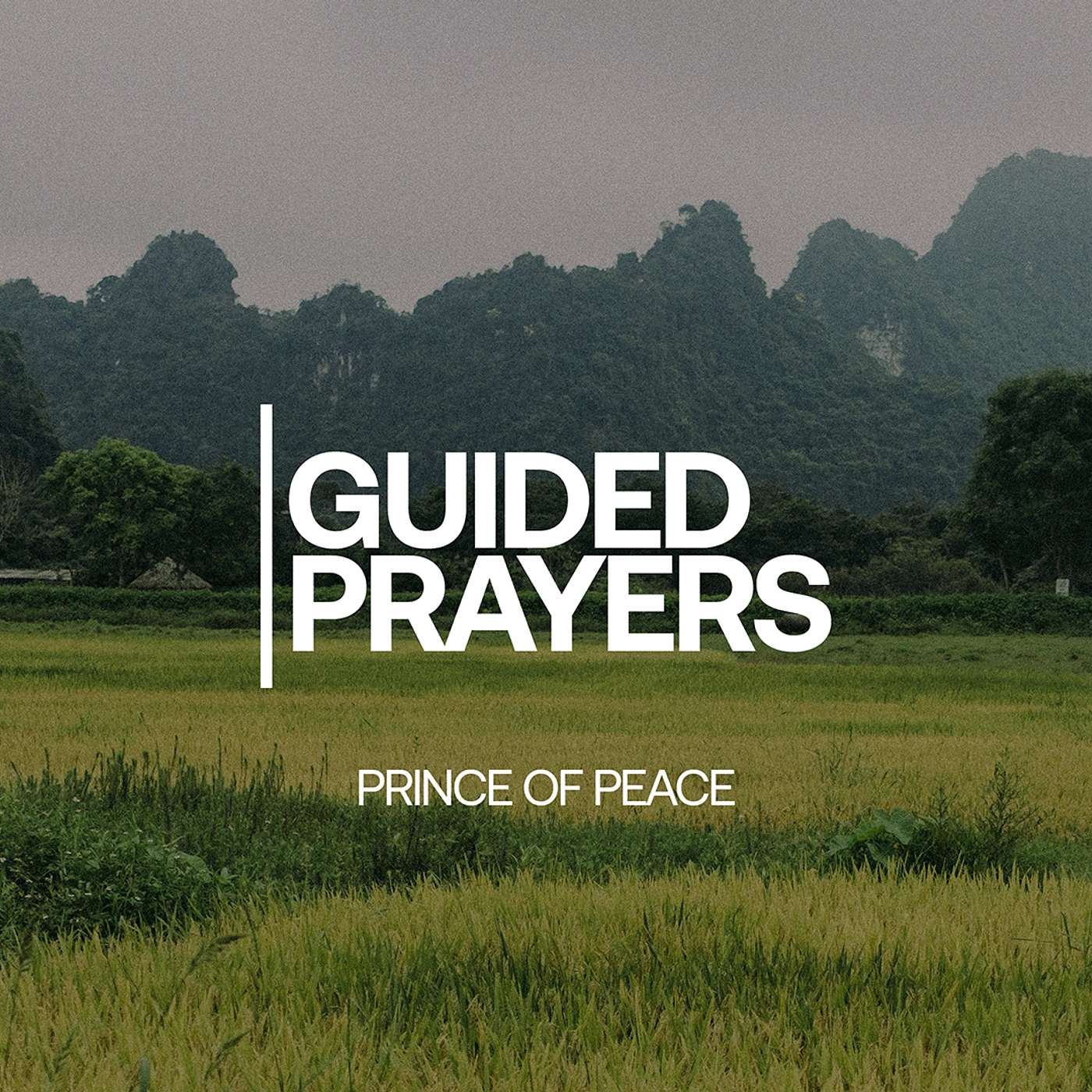 Take Back Your Thoughts | Guided Prayers episode artwork